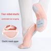 Professional Adult Ballet Shoes - Soft, Breathable Elastic Mesh with Cat Paw Sole for Dance Practice