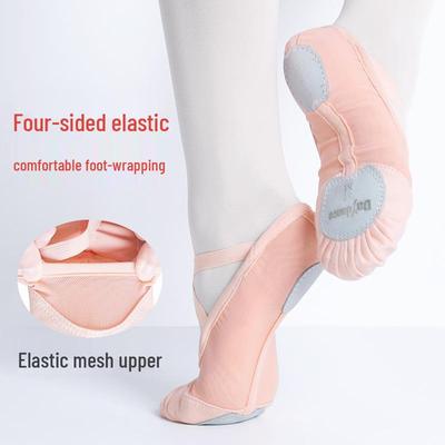 Professionelle Ballett-Schuhe für Erwachsene - Weiches, atmungsaktives elastisches Netz mit Katzenpfoten-Sohle für das Tanztraining