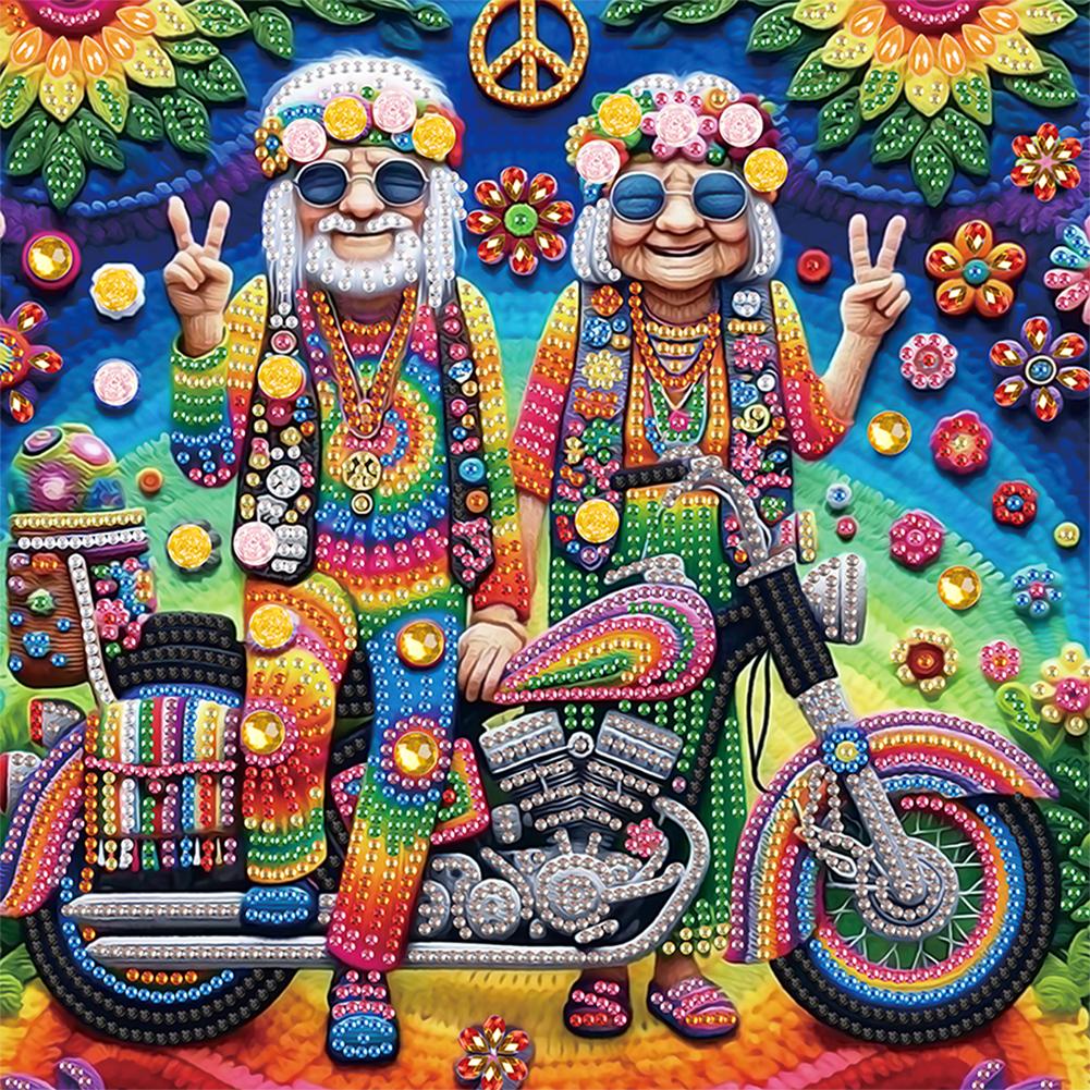 

5D DIY Partial Special Shaped Drill Diamond Painting Granny Decoration AT162