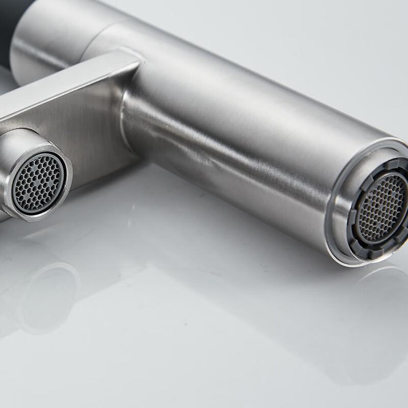 MDNG 304 Stainless Steel Kitchen Faucet with Purified Water Outlet