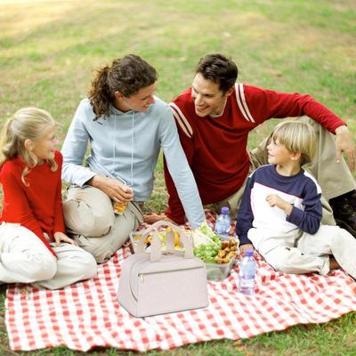 Lunchtasche Damen Groß Isoliert Erwachsene Lunchbox Tragbar Weiche Tragetasche Behälter Für Damen Herren Erwachsene Kinder Jungen Strand Arbeit Schule