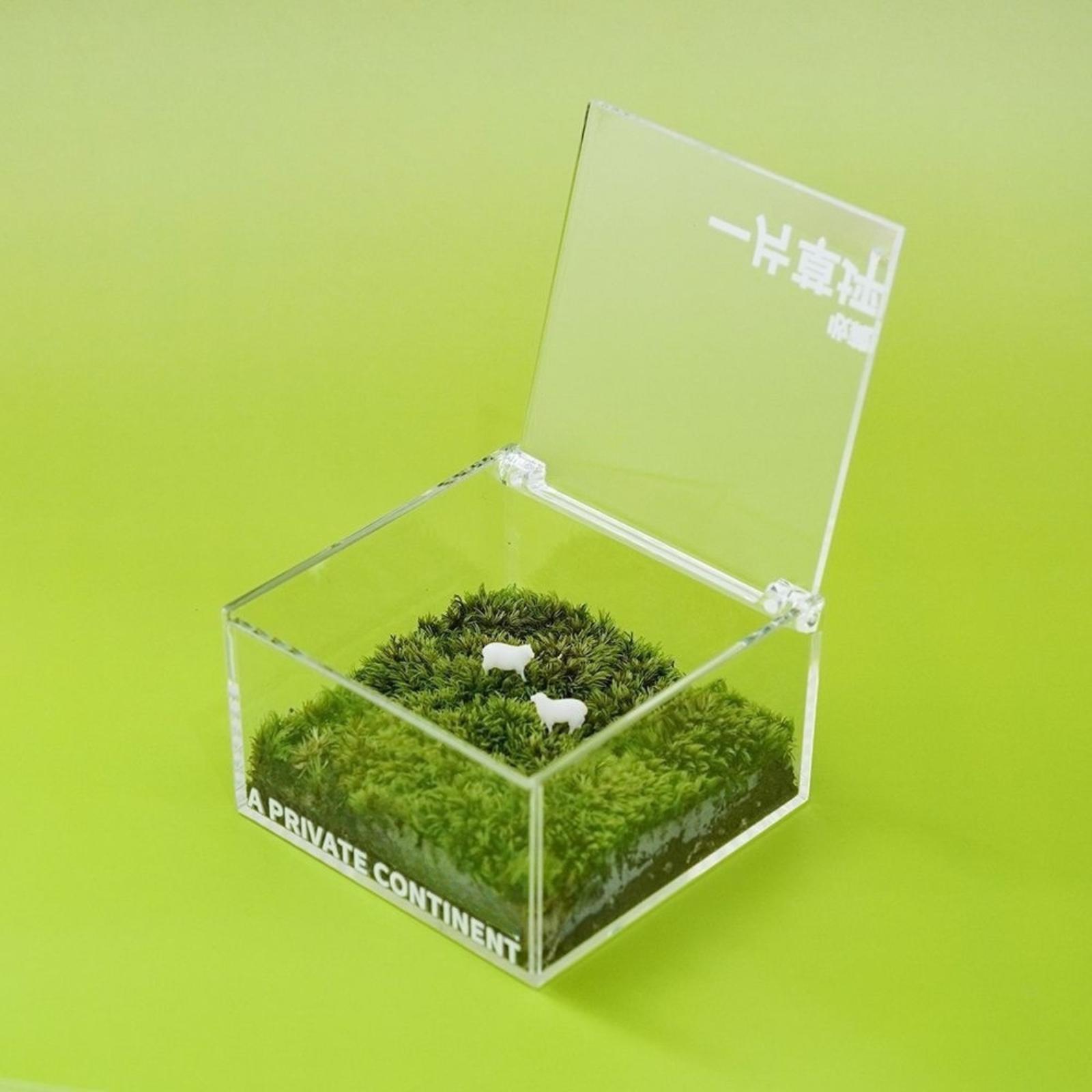 

Mni Moss Box For Ffice Desktop Green Plants 1ml One Size