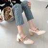 Fashion Ladies Summer Footwear on Heeled Pumps Shoes for Women 2025 with Straps Cute Square Heels Bow High Mary Jane Offer