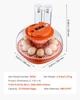 12 Egg Incubator, Automatic Egg Turner with LED Candler, Temperature & Humidity Control, 360° View Clear Window, Poultry Eggs Incubator for Home Farm,
