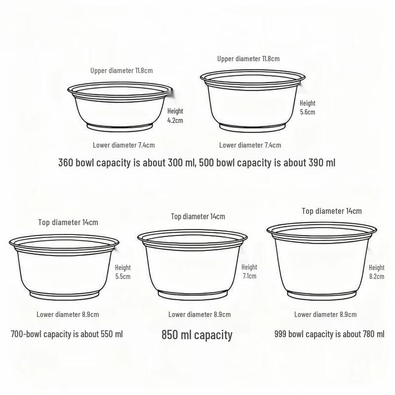 Biaoxing Disposable Bowl and Chopsticks Set