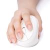 SANWA Ergonomic Vertical Bluetooth Wireless Mouse