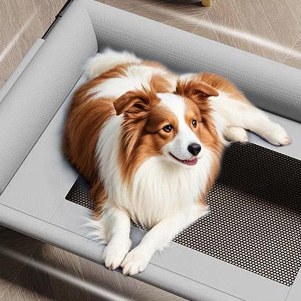 Huisdier Meubilair Mesh Verhoogde Hondenkussens Afneembaar met Kussen Verhoogd Hondenkussen Ademende Hondenkennels Bedden voor Kleine Middelgrote Honden
