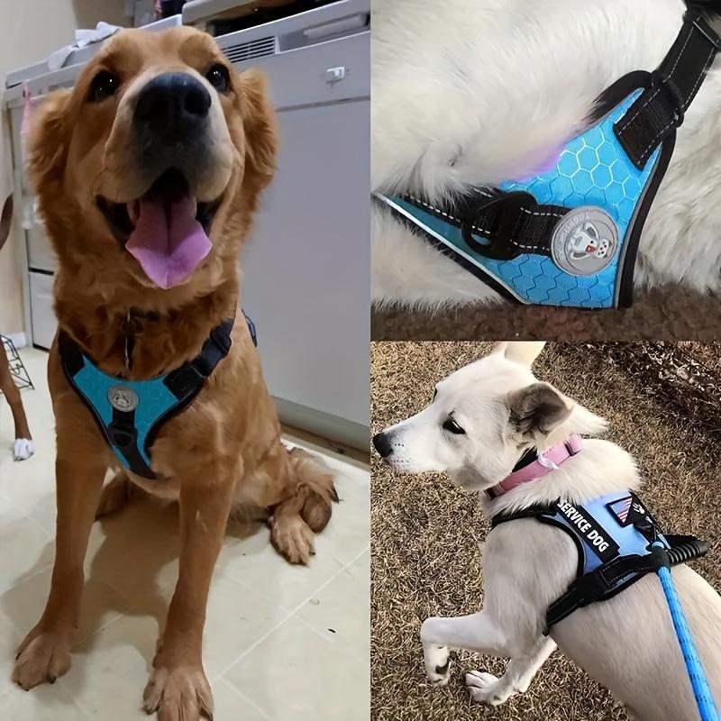 Hundegeschirr und Leine Set, Explosionssichere Stoßdämpfende Bequeme Hunde Weste, Reflektierendes Haustier Brustgeschirr Zugseil