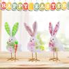 Multicolor Easter Bird Doll Flower Fairy Elf Plush Bunny Ear Bird Doll Spring Festival Supplies Cartoon Bird Doll Easter Party