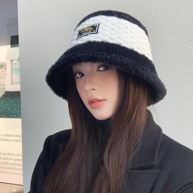 Korean Version of Autumn and Winter New Hat for Women Plush Fisherman Hat for Women High-end Metal Label for Winter Warm Face-showing Small Basin Hat
