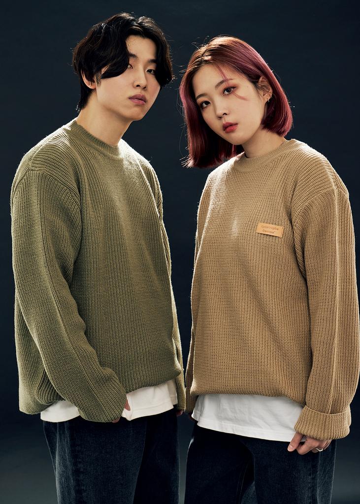 APOSTROPHE COMMA Basic Brown Leather Patch Crewneck Knit (Beige)