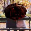 Supernatural Justice Folding Umbrella Durable Portable Travel Umbrella Sun Umbrella