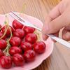 2Pcs Household 2-prong Appetizer Cake Fruit Western Small Fork Kitchen Accessory