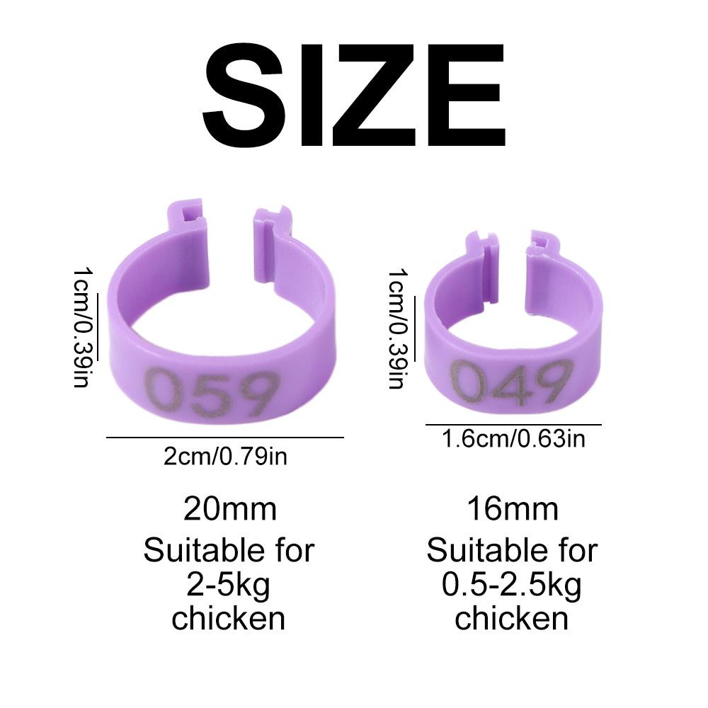 100 Stück Kunststoff Geflügel Fußbänder Gemischte Farbe Band Fußring Hühneridentifikation