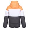 Regatta Childrens/Kids Lofthouse VII Terrain Print Padded Jacket