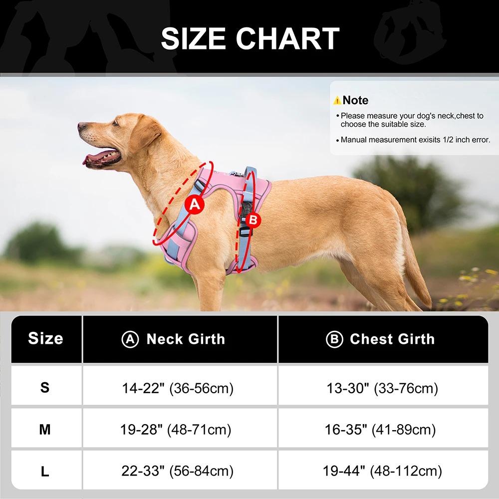 Dogs Chest Strap Dog Harness and Leash Set Small Pet Supplies Puppy Accessories Big Breeds Pets Backpack Large Collar