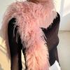 Plush Tassel Scarf Spring and Winter Thickened Ostrich Feather Plush Shawl with Fluffy Scarf Encryption Shawl