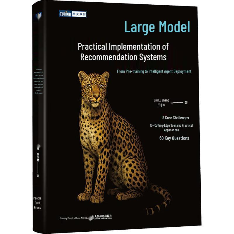 Large Model Recommendation Systems & Agent AI Development
