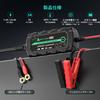 RoyPow LiFePO4 Trickle LED Activation Reverse Short and Overcurrent Protection Charger, 14.4V/1A, 7.2V/1A, Charge, Light, Polarity, Circuit,
