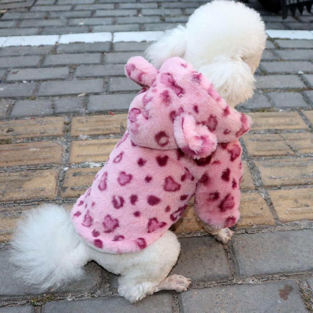 Leopard Print Thickened Coat for Small Dogs - Pet Trendy Apparel for Spring and Autumn