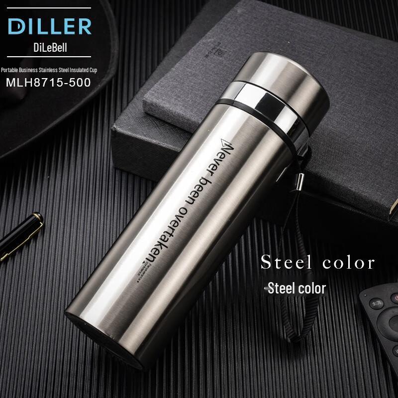 Diller 500ml Stainless Steel Insulated Mug