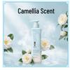 Adolph Camellia Oil Control & Refreshing Shampoo