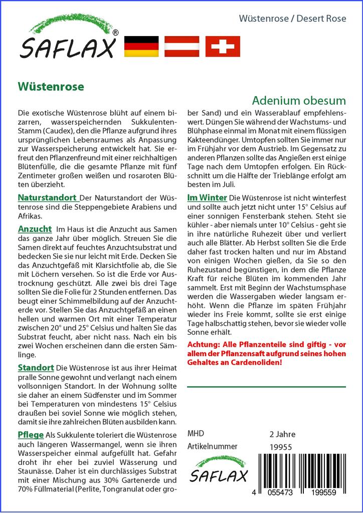 SAFLAX Desert Rose - 8 Seeds - Adenium Obesum