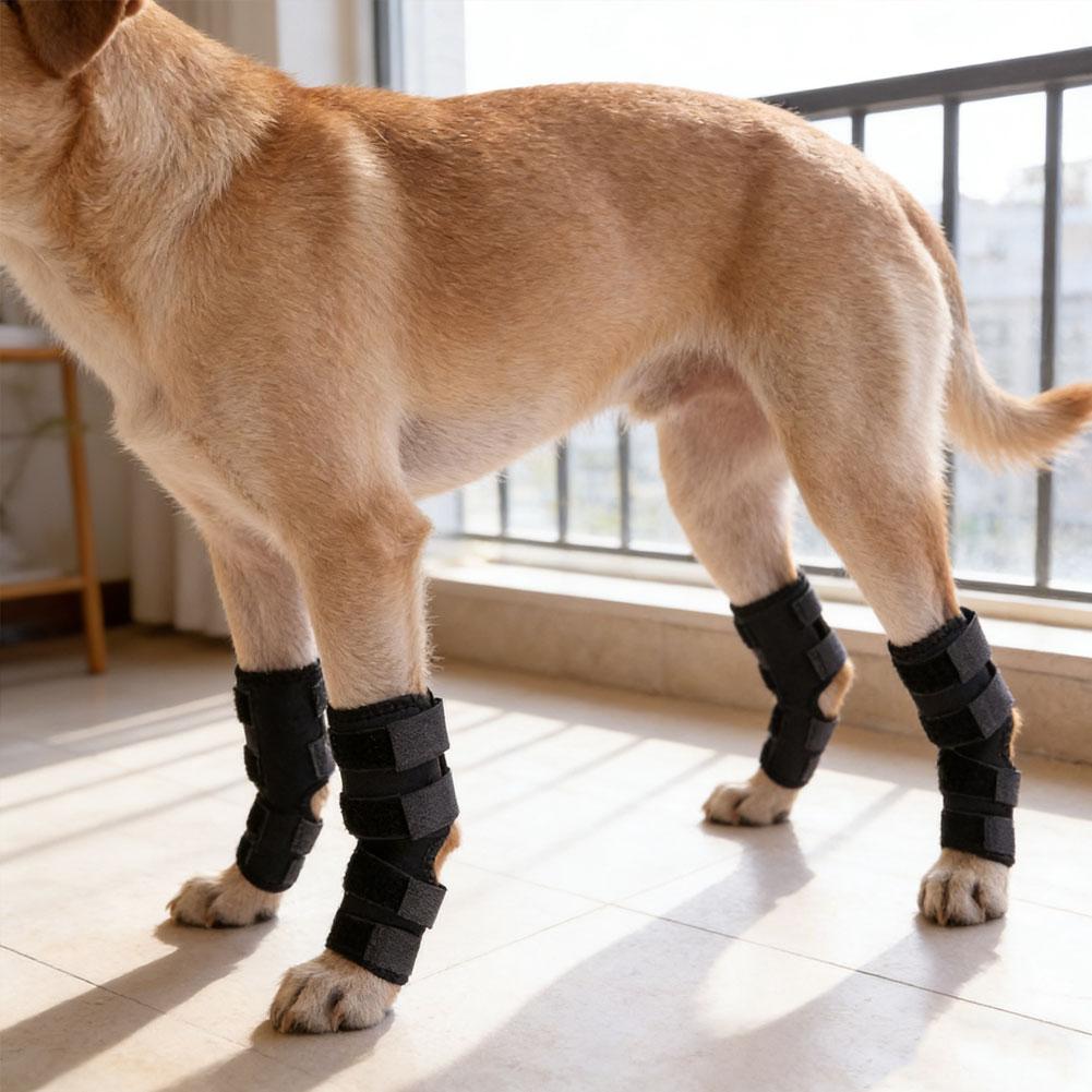 Dog Leg Brace Hock Joint Support Sleeve Prevent Chew Licking Bandage Wrap for Knee Sprains Injury Recovery Protection Pet Supplies