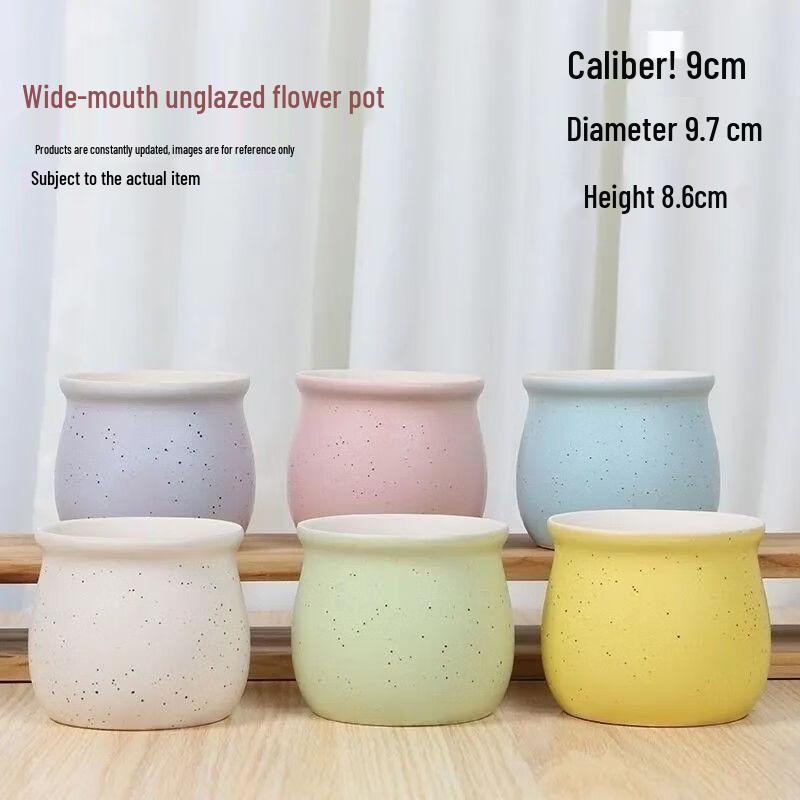 Simple Ceramic Succulent Pot