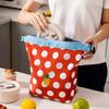 Foldable Food Box Bag Insulated Picnic Bag Portable Lunch Bag  Fruit Preservation