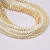 1String, White Yellow Natural Shell Beads for Jewelry Making DIY Necklaces, Bracelets Anklets Accessory, Unique Gifts for Halloween, Christmas 38cm