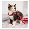 Elza Harness with Leash for Kitten S Red