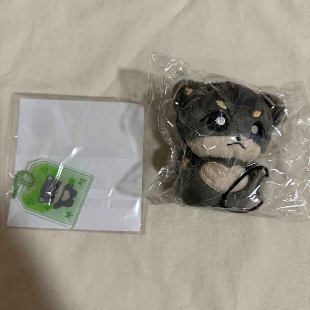 Used RIIZE Rise Eun Seok Plush Toy