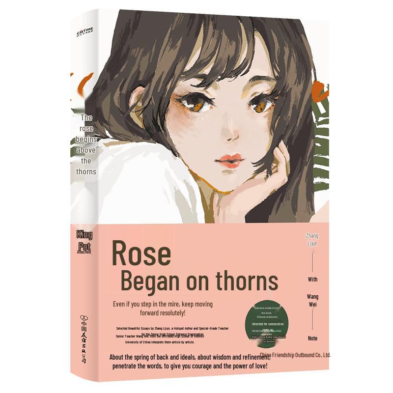 Zhongkao Chinese Essay & Reading Guides