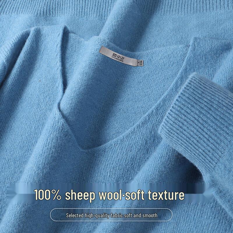 SNOWFLYING Women's 100% Merino Wool V-Neck Basic Knit Sweater