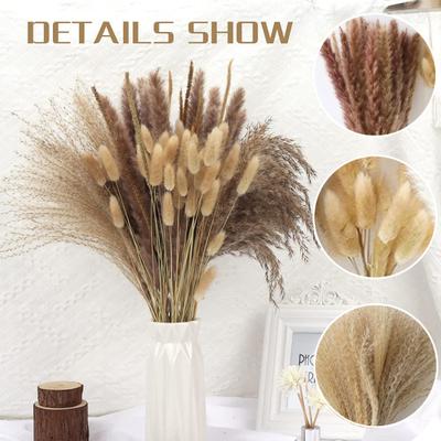 Beautiful Dry Reed Grass Non-Withered Exquisite Workmanship Decorative
