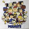[USED] Made In the USA Peanuts Snoopy Dye-In Print T-Shirt DELTA Delta