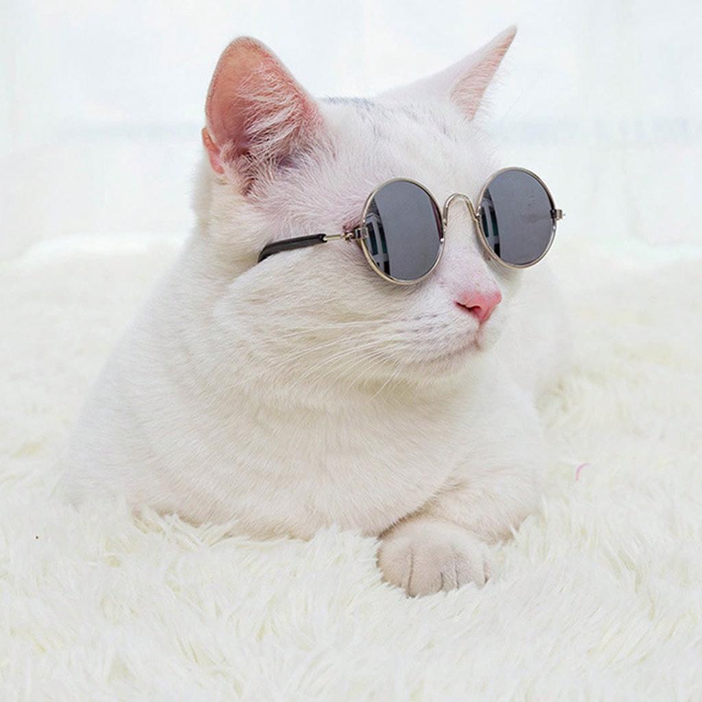 1 Stück Hunde Sonnenbrille Katze Haustier Produkt Lieblich Vintage Rund Reflexion Augenbekleidung Brille Kleiner Hund Katze Haustier Foto Requisiten Zubehör