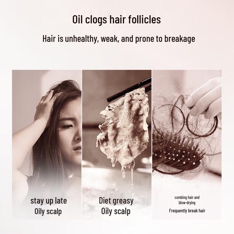 L'Oréal Anti-Haarbruch Ingwer Shampoo