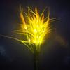 7 Heads Design Ground Mounted Light Ground Plug Wheat Ear Light  Outdoor Camping