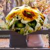 Sunflowers 2 Printed umbrella windproof folding umbrella portable sun and rain umbrella suitable for gifting