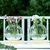 Elegant Round Glass Planters Transparent Glass Plants Glass Vase  Weddings