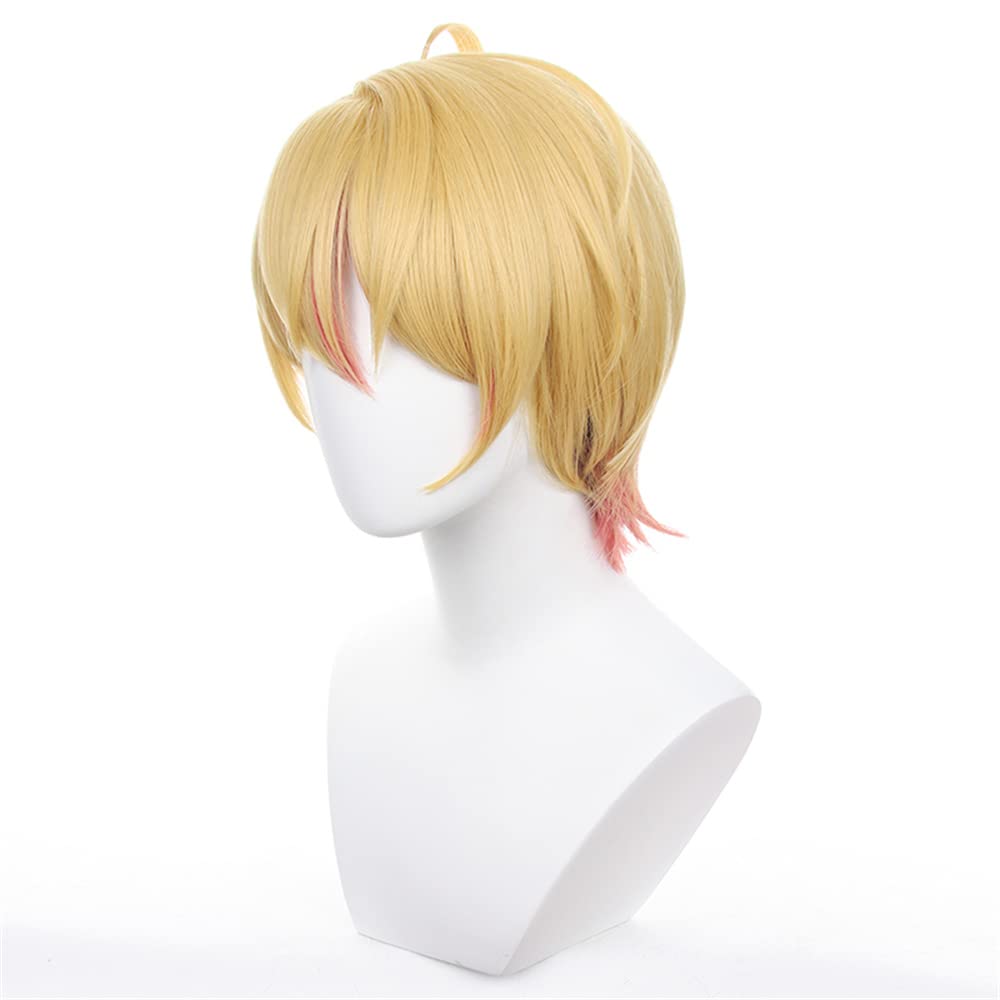 iirukaa Oshi no Ko Hoshino Aqua Wig, Heat Resistant, Perfect for Photography, 2D Goods, Events, Cosplay, Halloween, and Disguise
