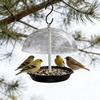 Pássaros – Louça para aves