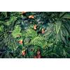 MOON.QG Tropical Leaves Backdrops Spring Garden Backgrounds Green Grass Photo Wall Customized Name Birthday Wedding Photocall