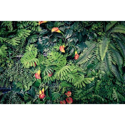 MOON.QG Tropical Leaves Backdrops Spring Garden Backgrounds Green Grass Photo Wall Customized Name Birthday Wedding Photocall