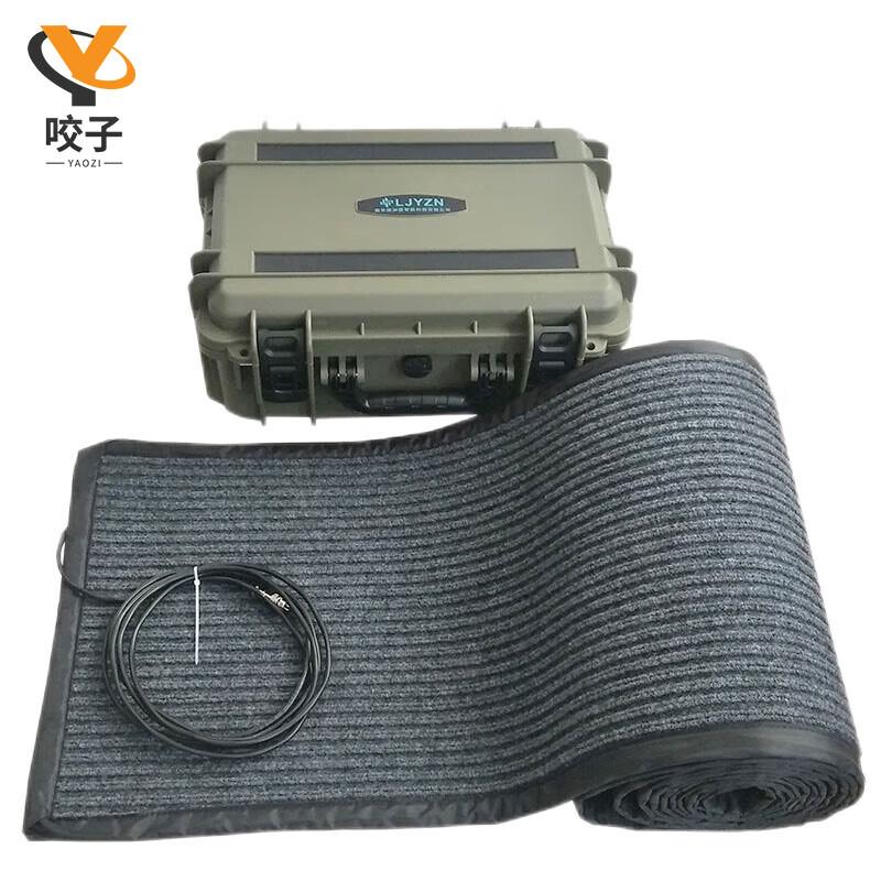 Smart Physical Fitness Assessment Running Timer