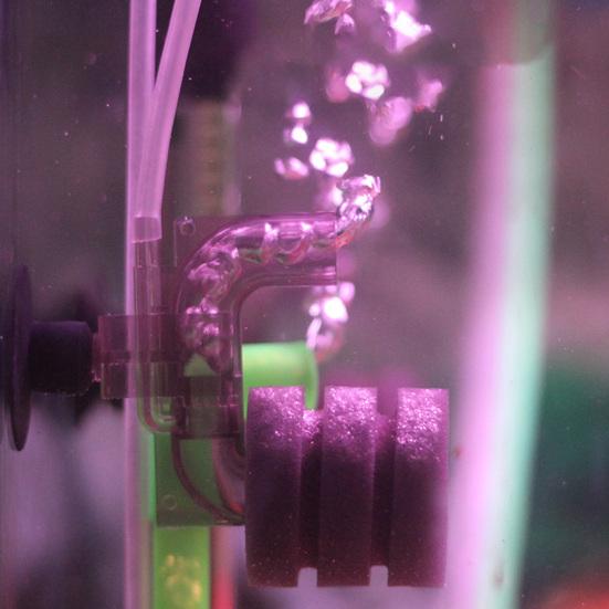 Filtr nádrží na ryby Čištění vody Zvýšení obsahu kyslíku Bezhlučné jezírko s garnáty Biologický filtr s houbou Akvárium Příslušenství