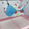 Pet Hamster Hanging Hammock Bunkbed Hammock Suitable For Hamsters Guinea Pigs And Other Small Pets