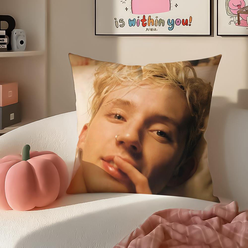 TTroye Sivan Cushion Cover Pillowcase Short Plush Invisible zipper Room Sofa Cushion Cover